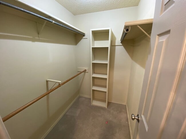 Building Photo - Beautiful Updated 3/2/2 in The Meadows