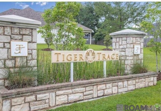 Building Photo - 6137 Tiger Trace Ave