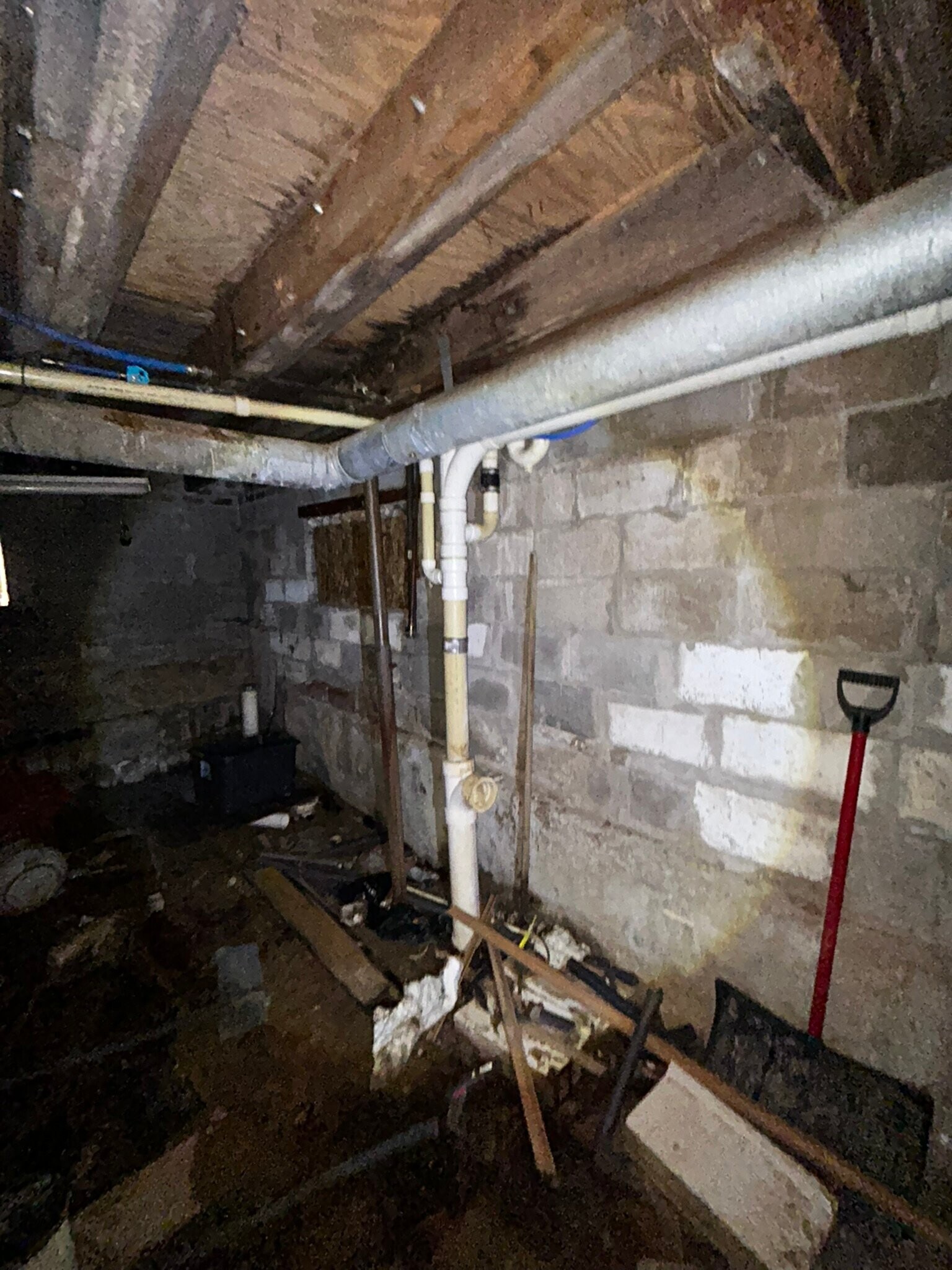 Building Photo - 127 Elkan Ave