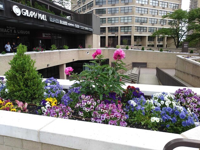 Building Photo - 7000 BLVD E