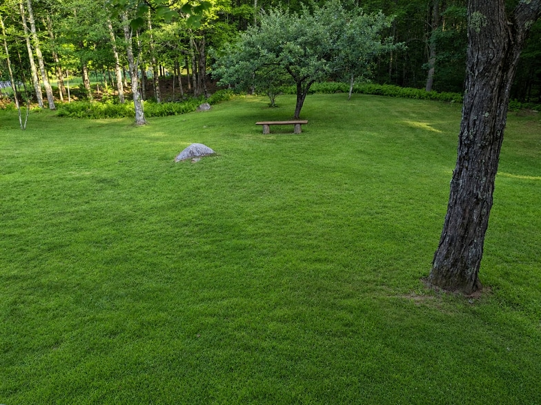 Backyard in summer - 217 Bigelow Hill Rd