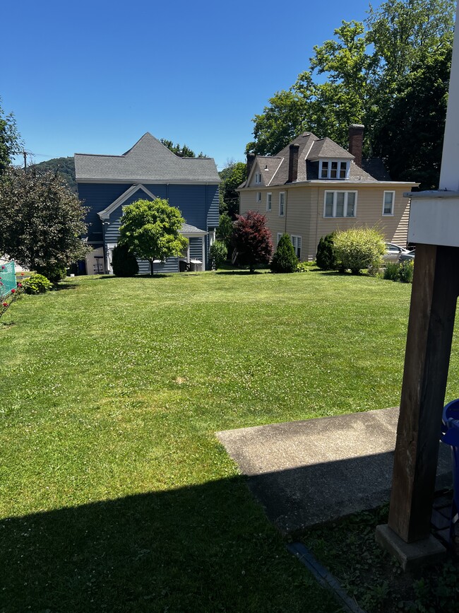 Back yard - 1111 Ridge Ave