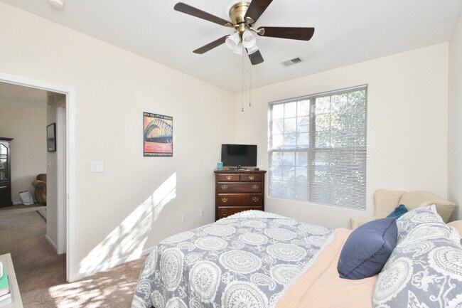 Building Photo - 2537 Sun Seeker Ct
