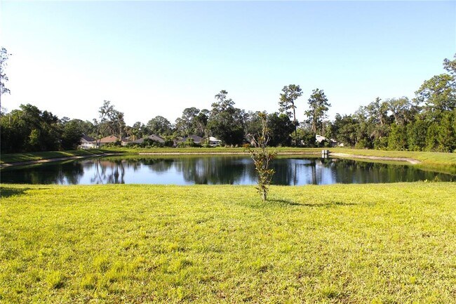 Building Photo - 30600 Thunderbird Dr