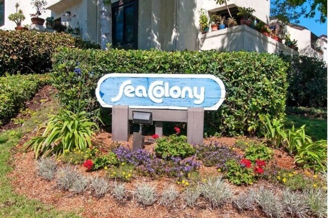 Building Photo - Stylish Sea Colony 3-Level Townhome!