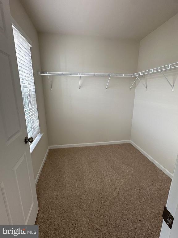 Building Photo - 163 Rae Ct