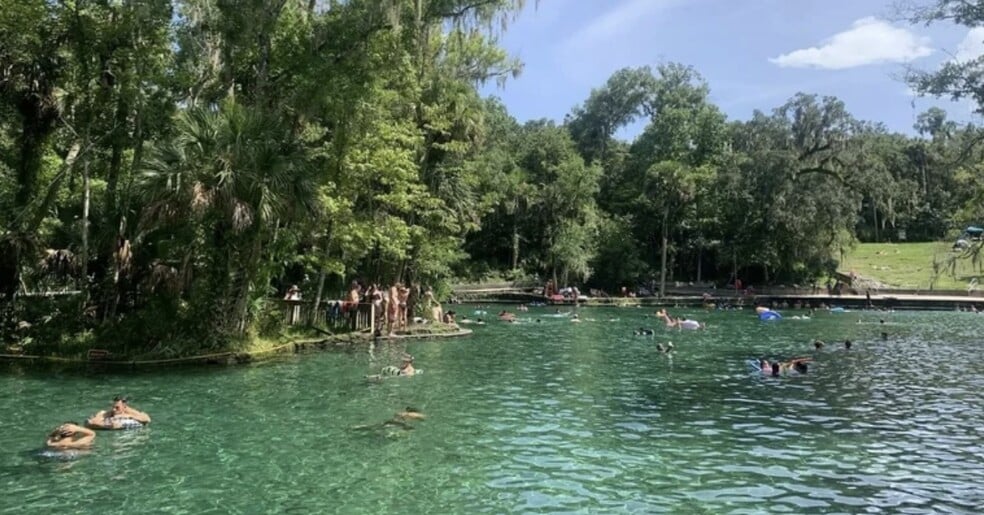 Wechiva Springs - 433 Homer Ave