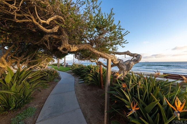 Walking paths - 1710 Avenida Del Mundo