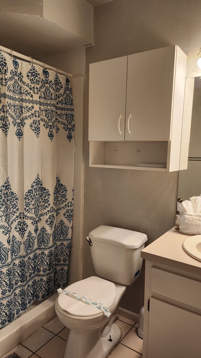 Master Bath - 5014 Gainsville Dr