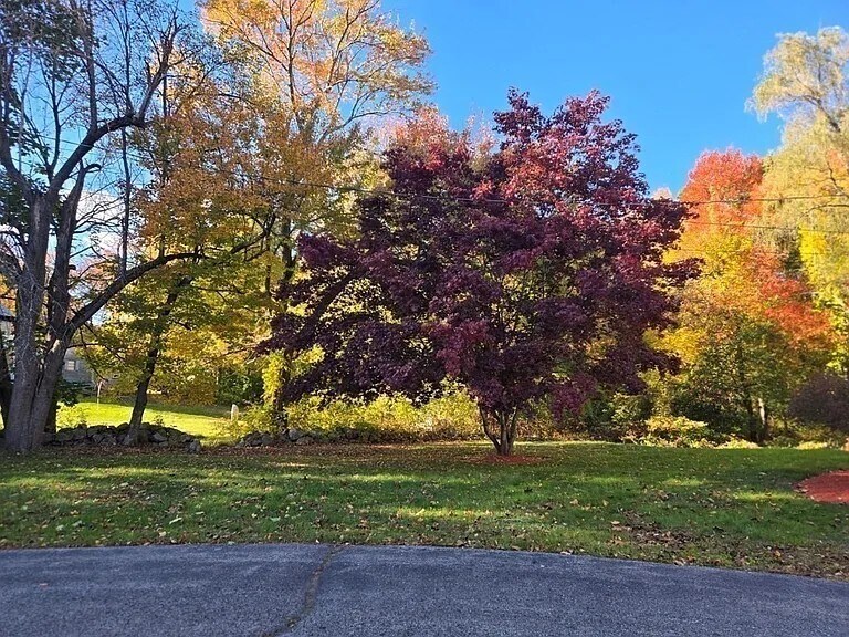 Building Photo - 222 Primrose Hill Rd