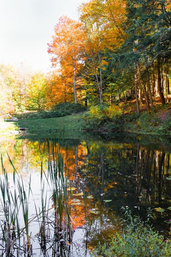 Building Photo - 525 Townsand Hollow Rd