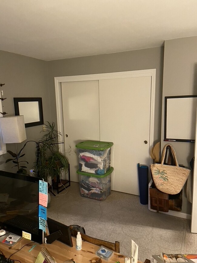 Double closet in 2nd bedroom/office - 105 Sugar Tree Ln