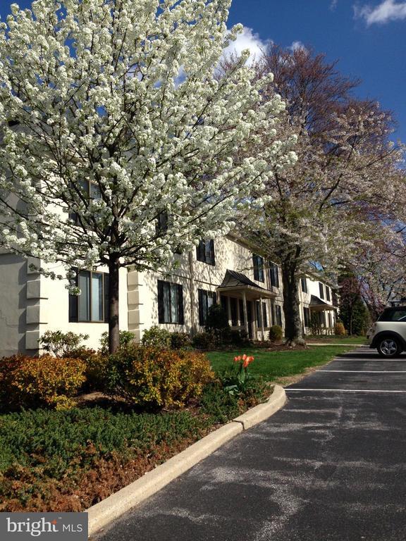 Building Photo - 411 Conestoga Rd