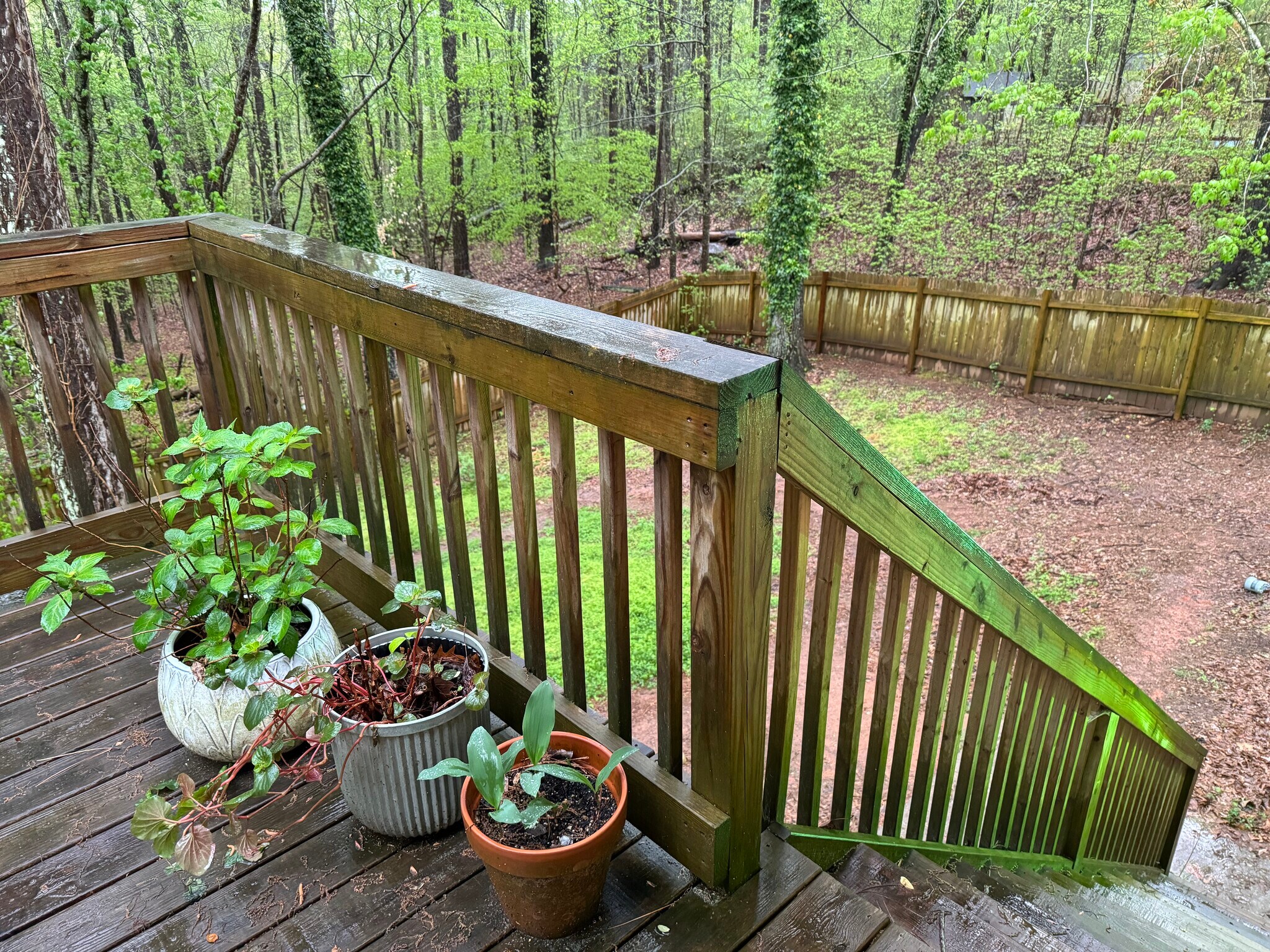 fenced backyard - 4304 Bradley Dr