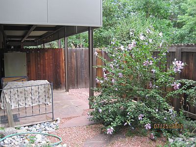 Building Photo - 2227 Canyon Blvd