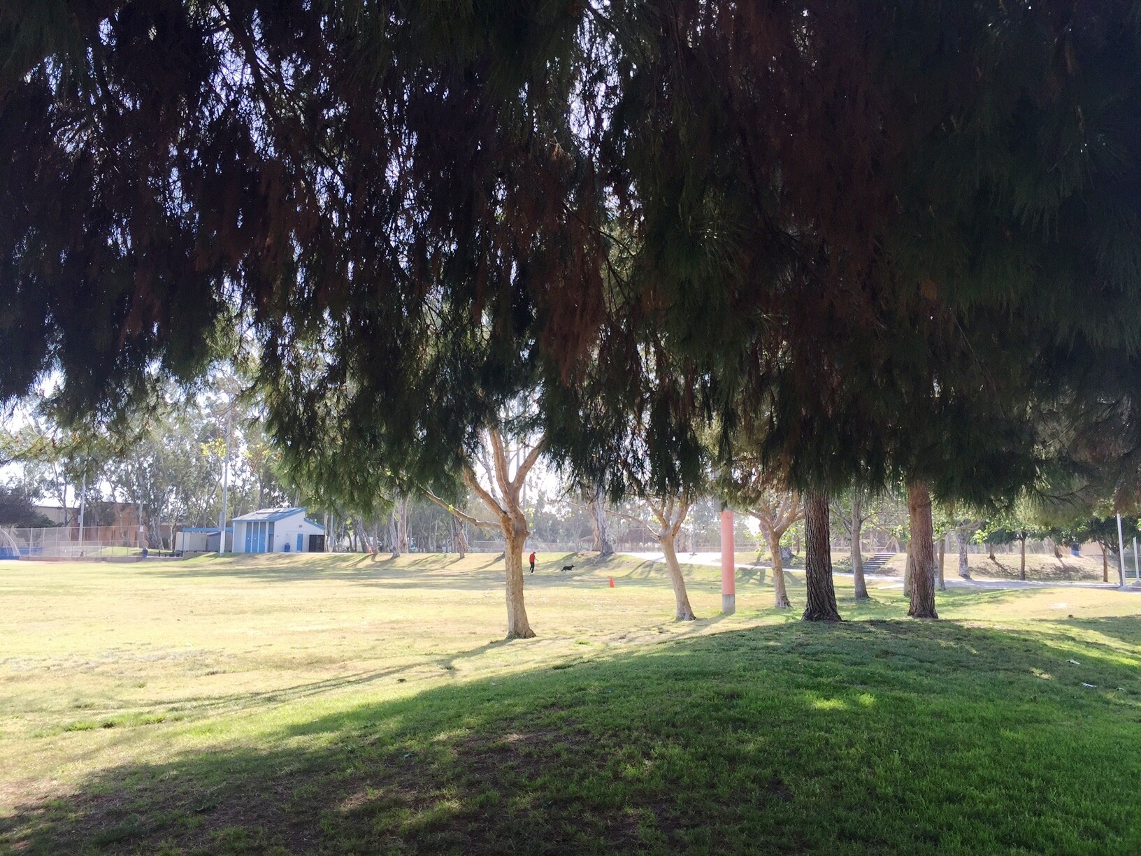 Walking distance to trails and Wilson Park - 2349 Jefferson St