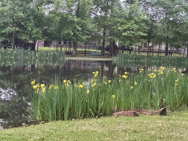 Building Photo - 19839 Driver Forest Dr