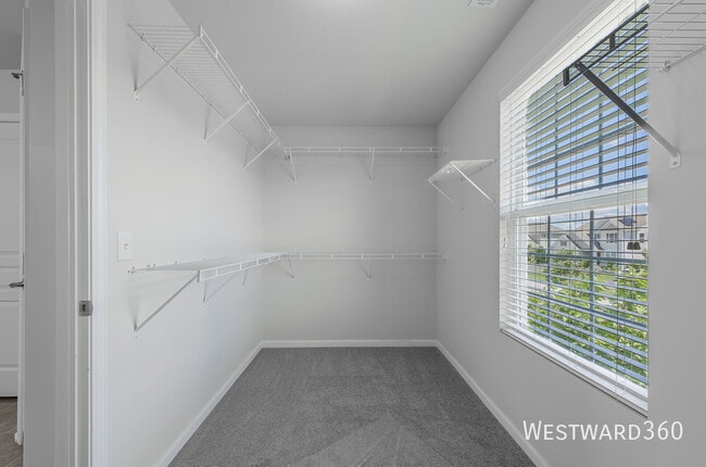 Building Photo - 3439 Birch Ln