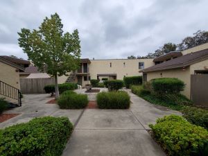 Central courtyard - Daisy Hills Apartments
