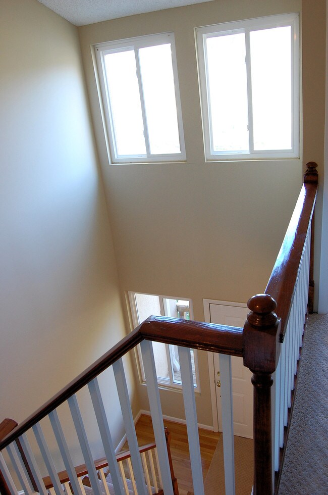 Light everywhere - 2667 Chancer Dr