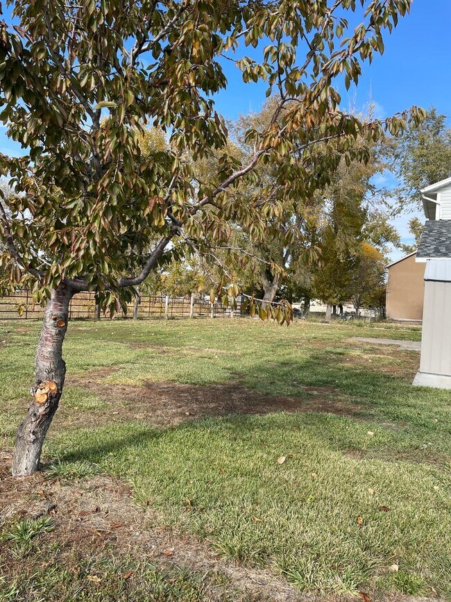 Building Photo - 1516 4000 W