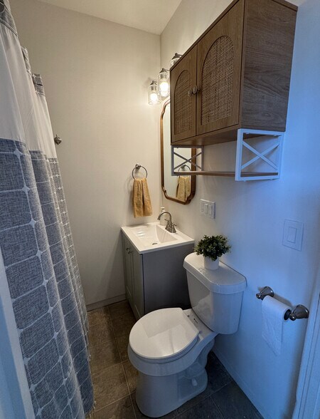 Unit 2 bathroom - 209 N William St