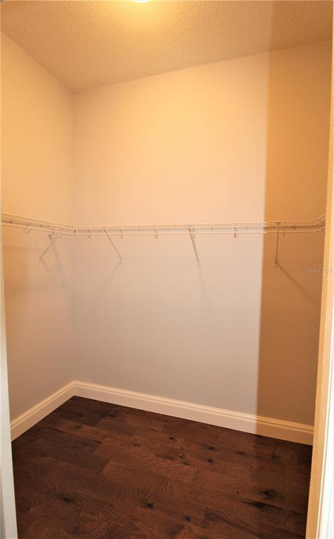 Building Photo - 3764 Summerwind Cir