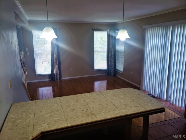 Building Photo - 16707 Hickory Meadows Ct