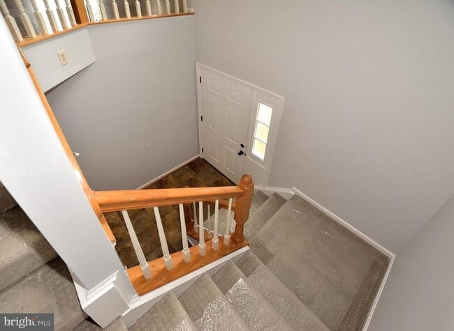 Building Photo - 20428 Cool Fern Square