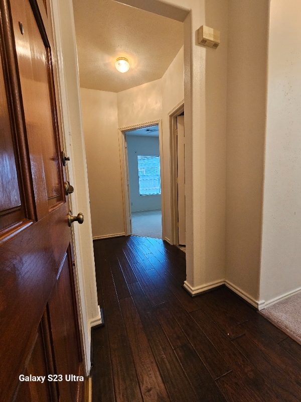 Building Photo - 12315 Wright Oaks Dr