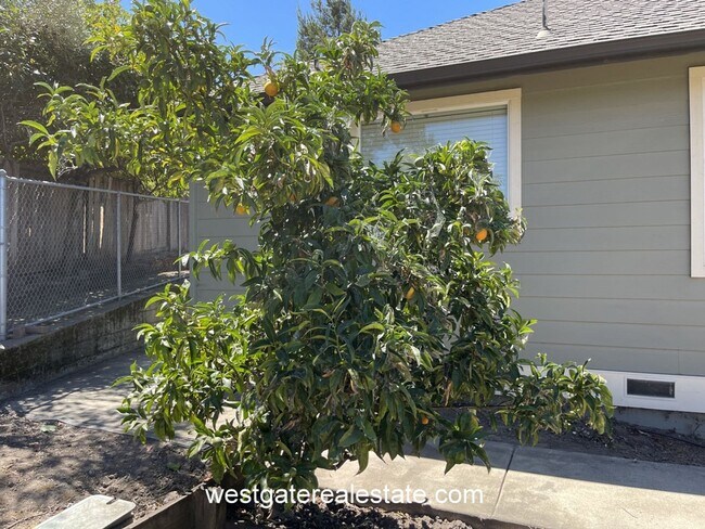 Building Photo - 786 El Paseo Dr