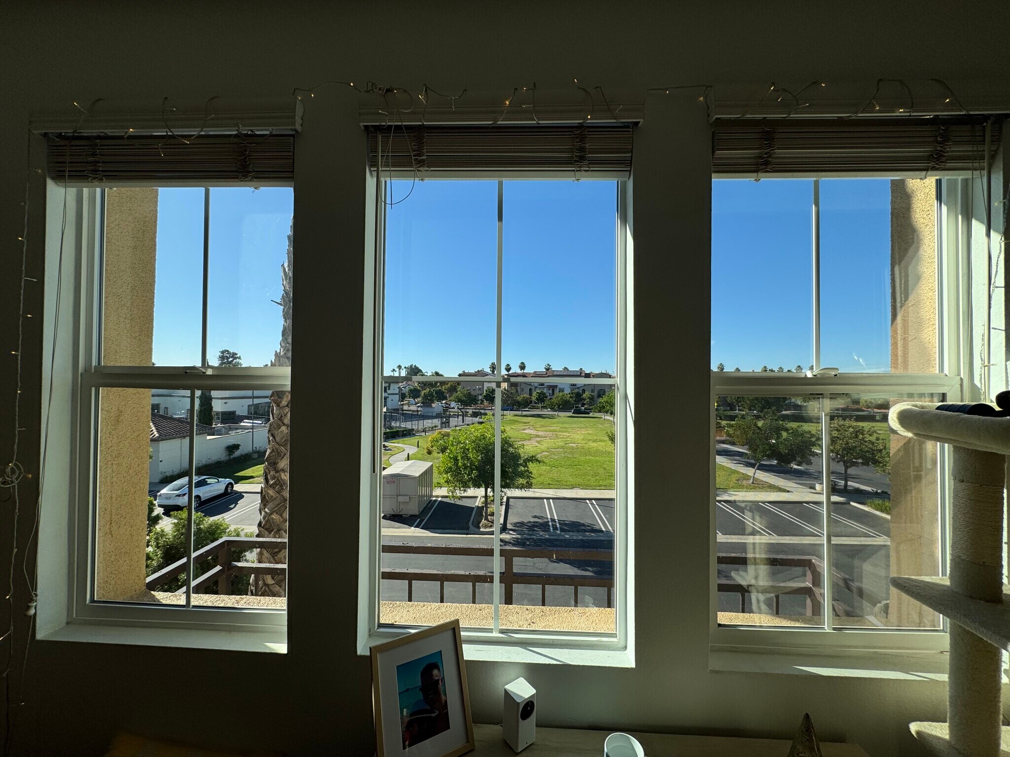 Building Photo - 243 Riverdale Ct