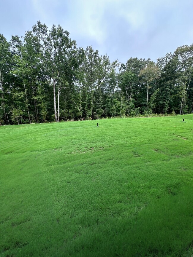 Building Photo - NEW Stonebridge Golf Course Views - Move-I...