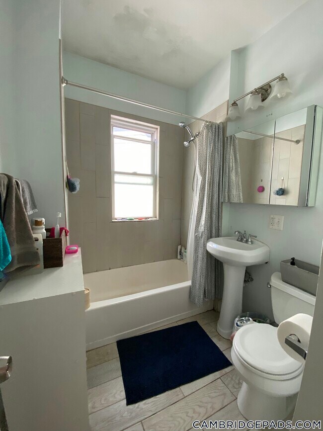 Building Photo - 376 Prospect St