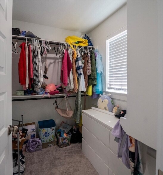 Building Photo - 21802 Blue Daisy Ct