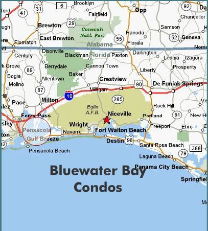 Area Map - 4274 Calinda Ln