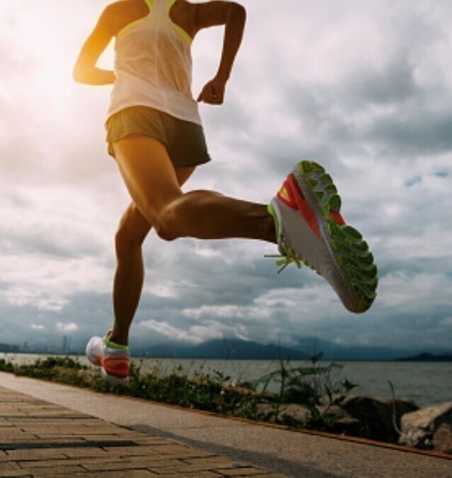 Building Photo - 33 Pond Ave