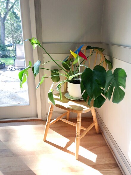 Building Photo - 8507 Woodside Ct