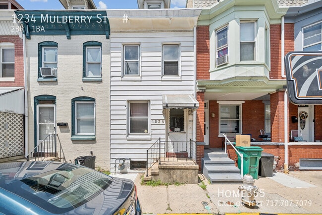 Primary Photo - 1234 Mulberry St