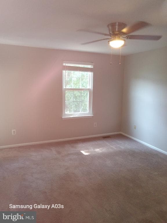 Building Photo - 3231 Tayloe Ct