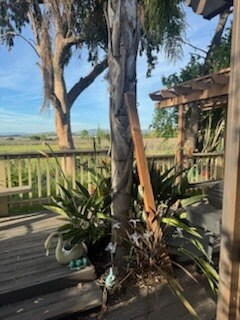 Building Photo - 270 Dutch Flat Ct