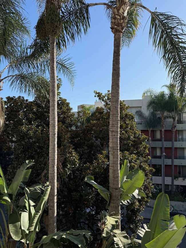 Building Photo - Prime Location! 2BR/2BA w/ Large Private Balcony