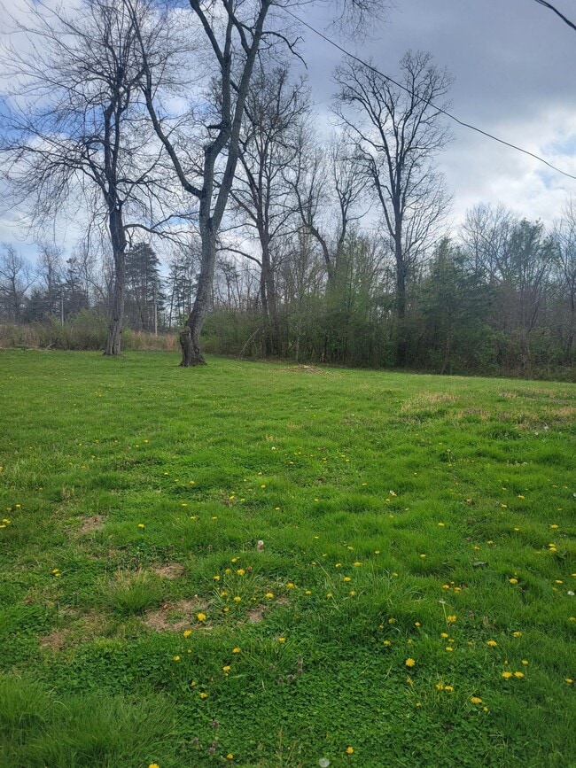 Building Photo - 104 Bent Tree Dr