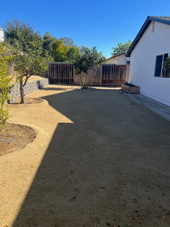 Building Photo - Newly renovated Beauty!