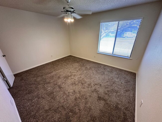 Building Photo - Available Soon!