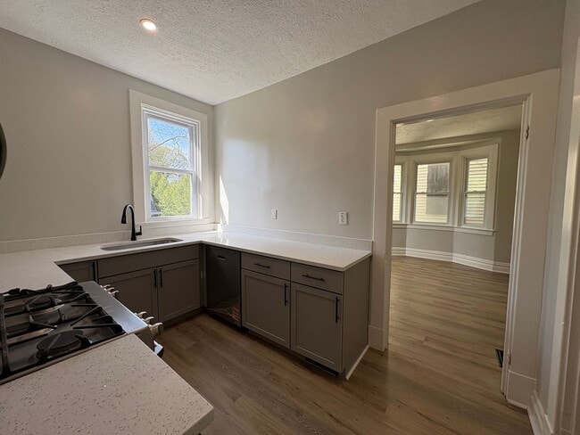 Building Photo - Huge Newly Renovated 4 Bedroom/2 Bath House in Bellevue!