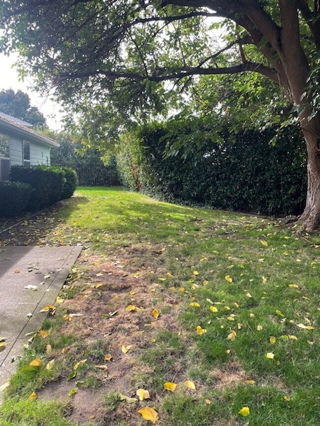 Building Photo - Quiet Peaceful 3 bedroom 2 bath Single Level home located in Central Point