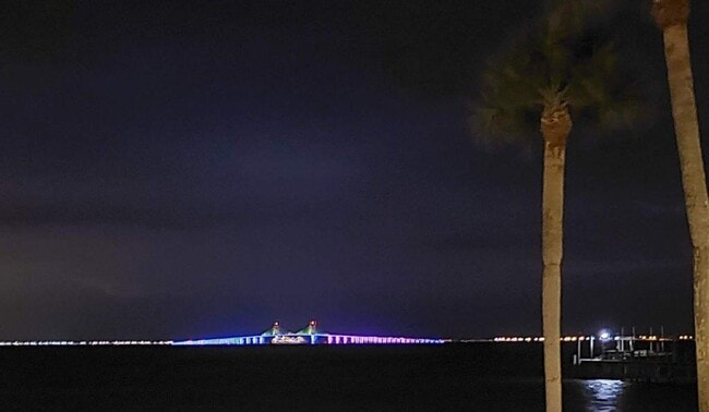 Building Photo - 650 Pinellas Point Dr S