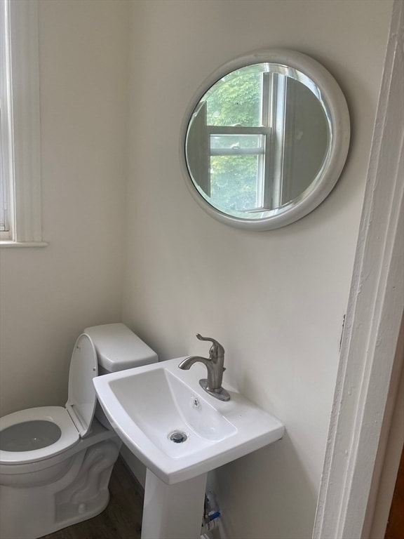 Building Photo - 11 Pasadena Rd