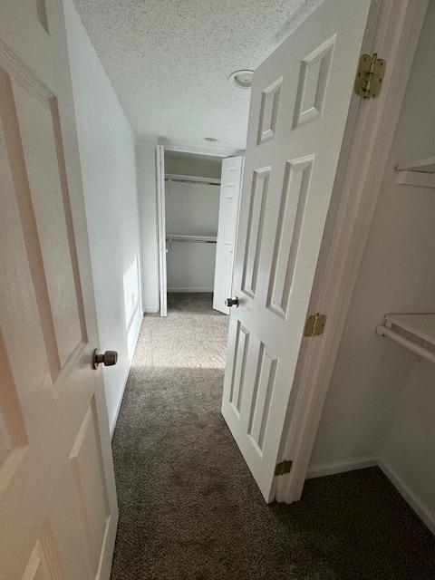 Building Photo - 303 3rd St